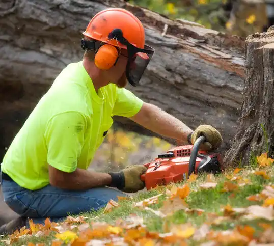 tree services Ishpeming